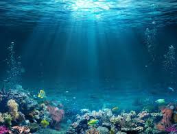 underwater ocean - Google Search