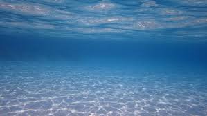 underwater clear - Google Search