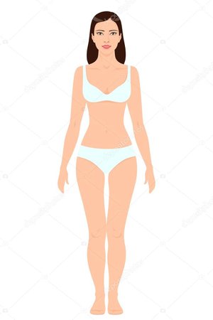 depositphotos_109437276-stock-illustration-woman-body-shape-template.jpg (682×1023)