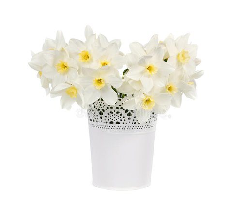 Bouquet of fresh narcissus stock image. Image of background - 37765751