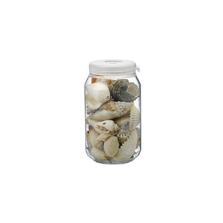 jar with sea shells