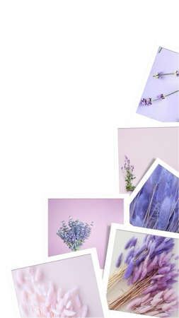lilac set