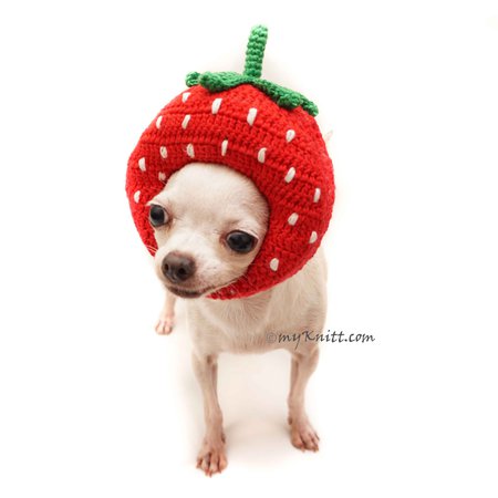 strawberry dress - Pesquisa Google