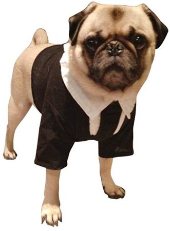 Amazon.com: Pet Men In Black II Dog Costume For Medium Dogs: Clothing