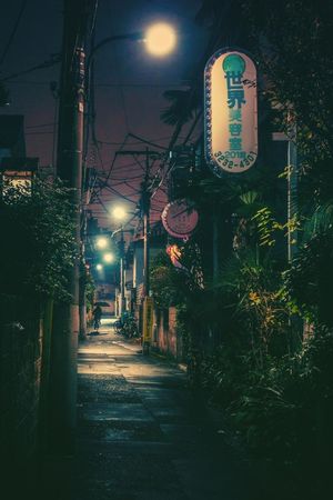 japanese night 🌙