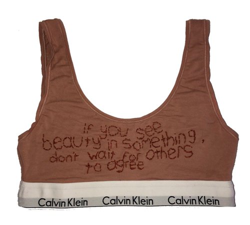 calvin klein embroidered bra