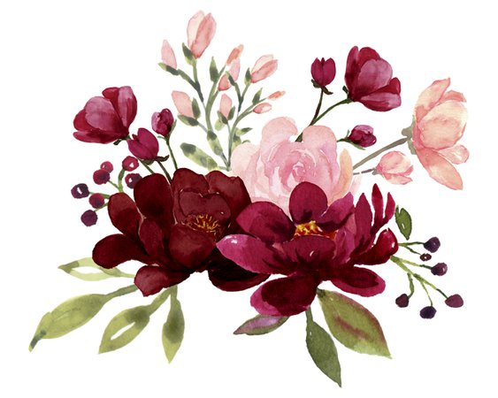 Blush and Burgundy Flowers Watercolor Clipart Collection