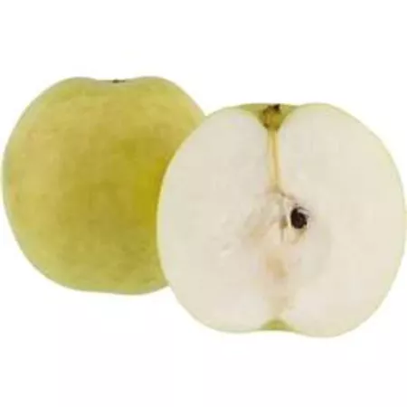 Pear Nashi Fruit Green each | Woolworths