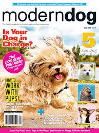summer dog magazine - Google Search