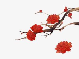 red chinese flowers - Google Search