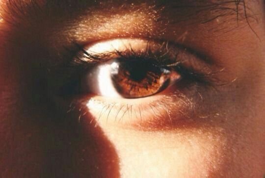 brown eye aesthetic - Google Search