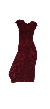 burgundy red mesh and velvet devoré floral cap sleeve slightly sheer midi dress.