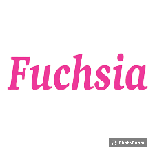 Fuchsia Word