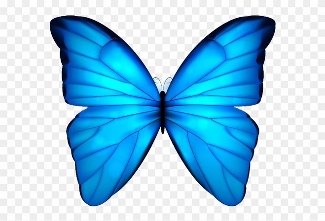 370-3706248_butterfly-blue-clip-art-clip-art-blue-butterfly.png (880×601)