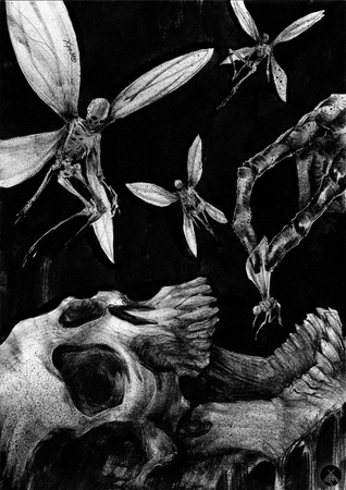 fairy grunge skull dark art background