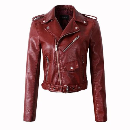 Women Leather Zip Belted Moto Jacket - Siricho