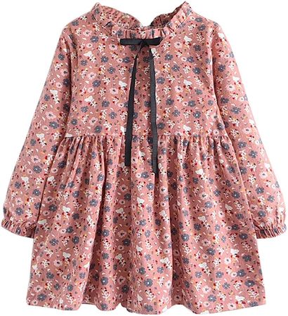 Amazon.com: Mud Kingdom Fashion Toddler Girls Floral Dress Long Sleeve Ruffled Cute Spring Autumn Pink 2T: Clothing, Shoes & Jewelry