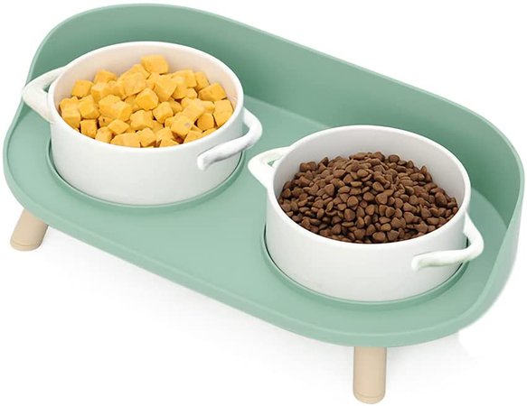 Elevated Cat Food Bowl, Food and Water Dog Raised Bowls with Stand, Ceramics Cat Bowls Set of 2 with No-Spill Design, Feeder Bowls Dogs Cats and Pets, Anti Vomiting Pet Bowls, 16oz : Amazon.ca: Pet Supplies