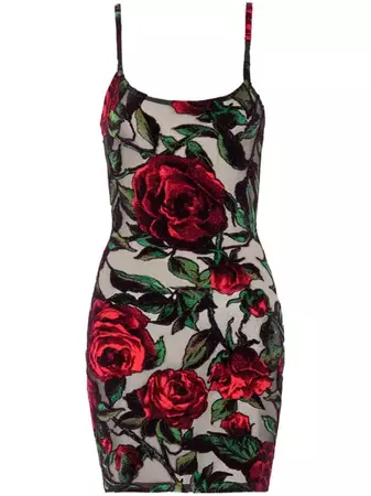 Balmain rose-print Sheer Minidress - Farfetch