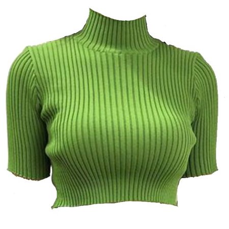 *clipped by @luci-her* Green Knit Shortsleeve Crop Turtleneck