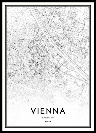 Vienna Map (50x70)