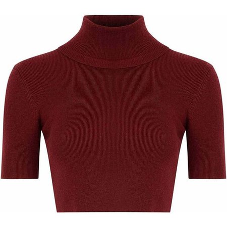 Burgundy Turtleneck Cropped Sweater