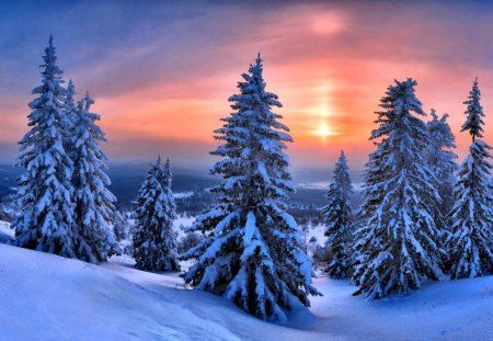 Beautiful Winter - Winter & Nature Background Wallpapers on Desktop Nexus (Image 1247553)