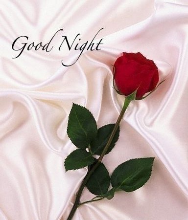 Goodnight my love. Sleep well. Love and Miss You Terribly. | Others | Good night love messages, Sweet dreams my love,