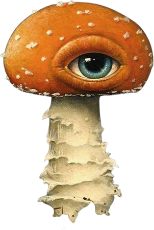 Cyclops mushroom