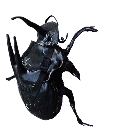 beetle backpack