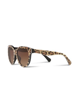 Shop brown & black Dolce & Gabbana Eyewear cat-eye sunglasses with Express Delivery - Farfetch