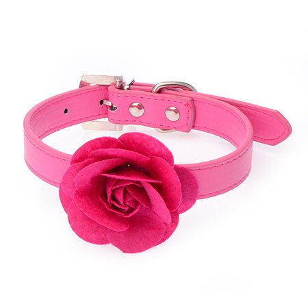 rose dog collar - Bing images