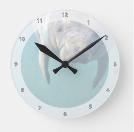 Manatee Clock