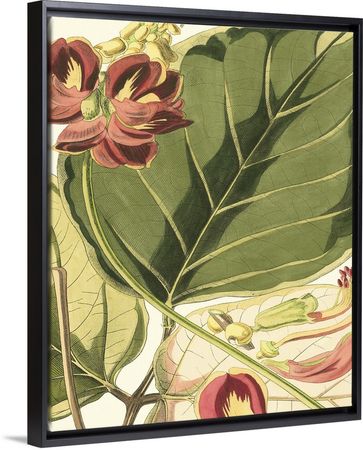 Fantastical Botanical I Wall Art, Canvas Prints, Framed Prints, Wall Peels | Great Big Canvas