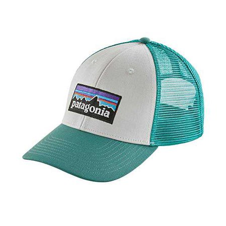 Amazon.com: Patagonia P6 LoPro Trucker Hat (White w/Beryl Green): Home & Kitchen