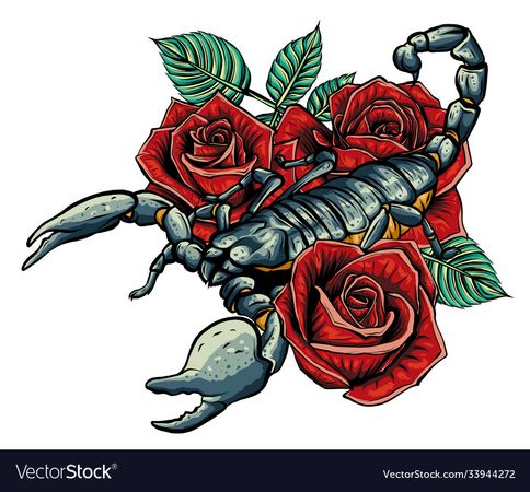 Detailed realistic scorpio in a decorative frame Vector Image