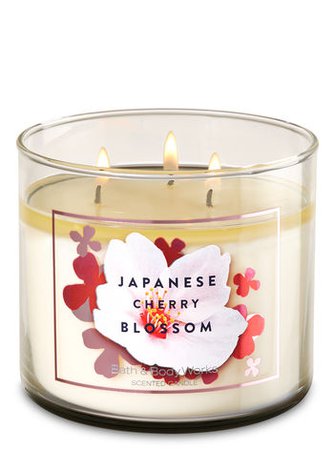Japanese Cherry Blossom 3-Wick Candle - White Barn | Bath & Body Works