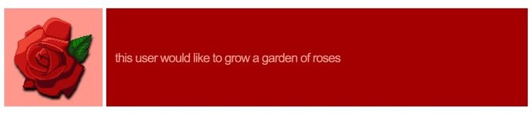 This user would like to grow a garden of roses 🥀✨💭
