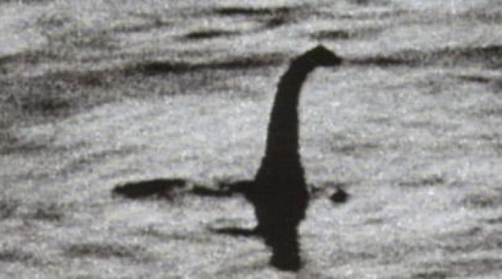 cryptid famous photo - Bing images