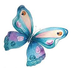 butterfly watercolor - Google Search