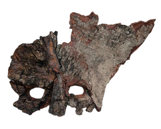 bark mask