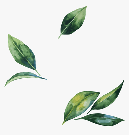 4-48918_leaves-png-images-transparent-free-download-watercolor-leaves.png (860×893)