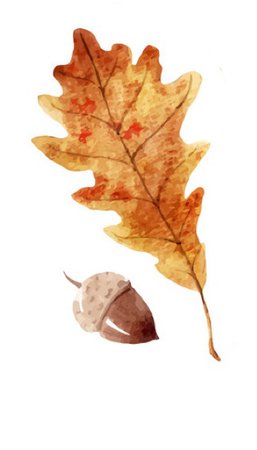 leaf and acorn