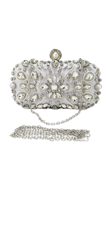 silver amazon purse