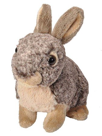 Wild Republic Bunny Plush, Stuffed Animal, Plush Toy, Gifts for Kids, Cuddlekins, 8 Inches: Amazon.ca: Gateway
