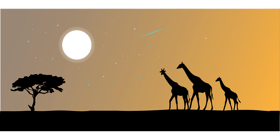 Giraffe Animal The Silhouette - Free vector graphic on Pixabay