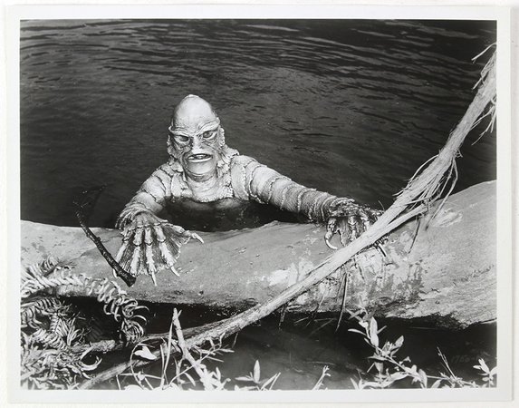 1954 - Creature from the Black Lagoon - stills