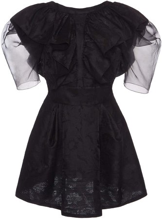Alberta Ferretti Ruffled Jacquard Mini Dress