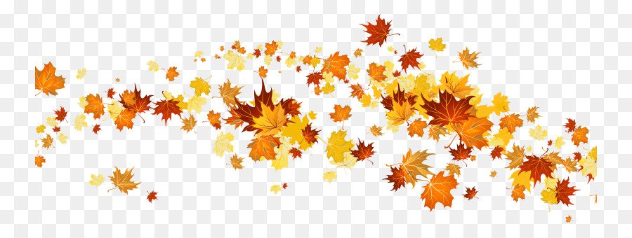 Autumn Tree Branch png download - 800*330 - Free Transparent Autumn Leaf Color png Download. - CleanPNG / KissPNG