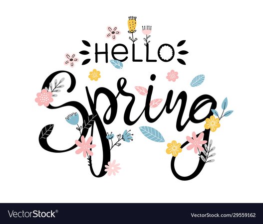Hello spring beautiful modern poster with hand Vector Image
